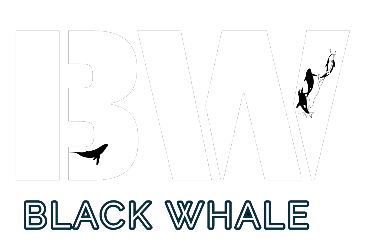 Black Whale | Branding and Marketing